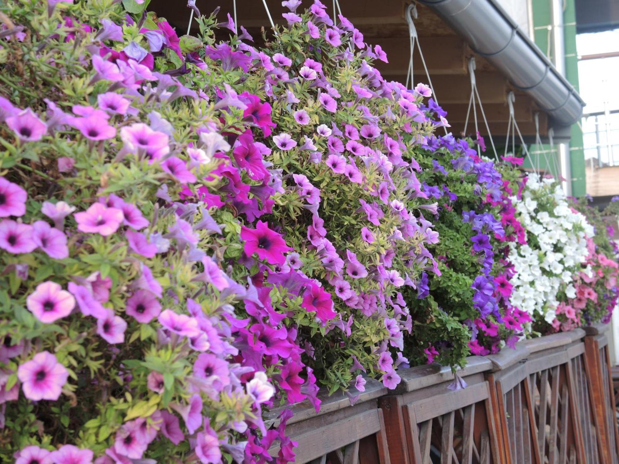 Rooms&Restaurant 43 Belgrad Exterior foto